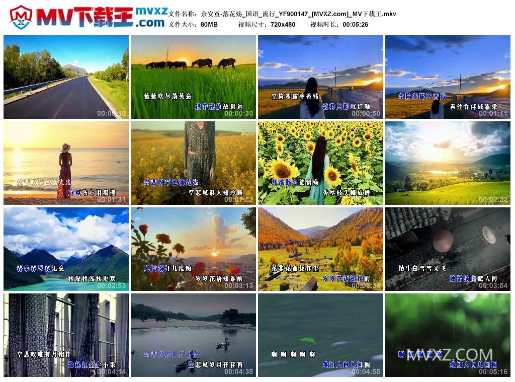 余安童-落花殇_国语_流行_YF900147